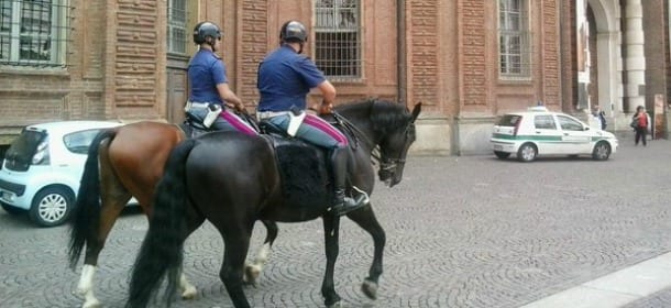 Anche i cavalli della Polizia vanno in pensione: in 11 cercano casa