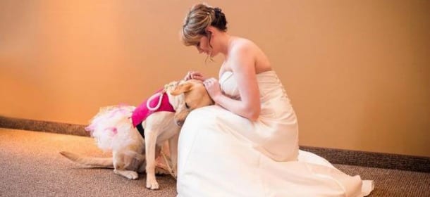 La sposa soffre di attacchi di panico: il cane l'accompagna all'altare [VIDEO]