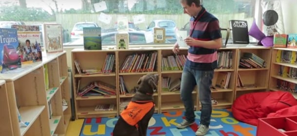 Il cane impara a leggere e viene ammesso alla scuola elementare [VIDEO]