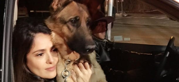 Salma Hayek piange il suo cane Mozart: qualcuno gli ha sparato al cuore