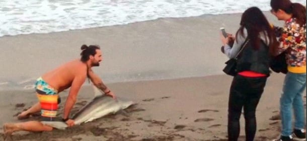 Trascina uno squalo fuori dall'acqua per farsi una foto: il video che non lascia dubbi