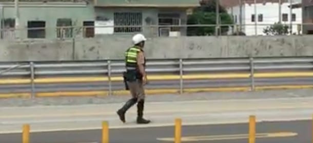 Il gattino deve attraversare la strada: il poliziotto ferma il traffico [VIDEO]