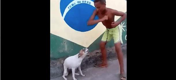 Il cane balla in strada: e il video diventa virale