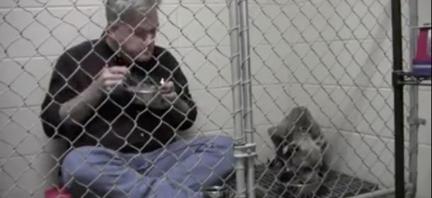 Il cane ha paura e rifiuta il cibo: il volontario entra nel box e mangia con lui [VIDEO]