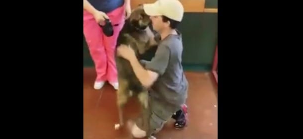 Cane abbandonato in canile per 1 anno rivede il proprietario: la reazione è sorprendente [VIDEO]