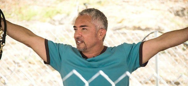 Cesar Millan accusato di crudeltà contro gli animali [VIDEO]