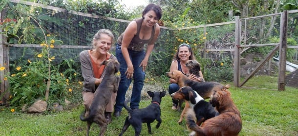 Ha salvato un cane ferito sulla spiaggia: poi ha scoperto la sua vocazione