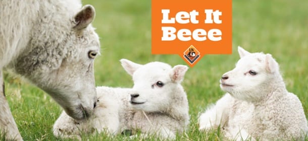 Lav lancia Let it Beee: gli agnelli a Pasqua si salvano con il flash mob