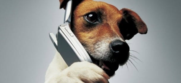 Se il cane potesse scrivere sms, come sarebbero? La nuova pagina virale sui social