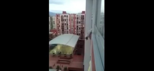 Il cane sta cadendo dal balcone: quello che fa il vicino di casa è incredibile [VIDEO]