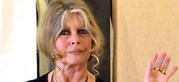 Brigitte Bardot e i Levrieri spagnoli: "Massacrati come le foche in Canada"