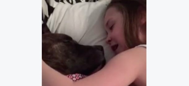 La bimba canta la ninna nanna al cane in affido: il video dolcissimo diventa virale