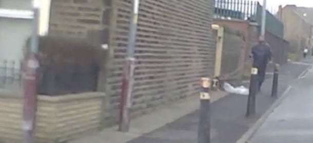 Prende a calci il cane durante la passeggiata: un video incrimina il proprietario