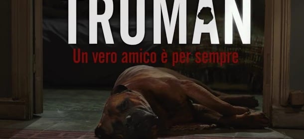 ‘Truman’, il nuovo film col cane che commuove e fa pensare [VIDEO]