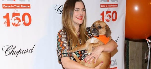 Drew Barrymore col cane sul red carpet: dopo la separazione l'ha aiutata a superare la crisi