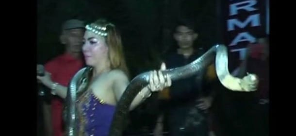 Cantante morsa da un serpente durante uno show: muore dopo 40 minuti