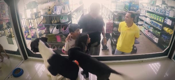 Il negozio di animali che “regala” randagi: “Meglio di comprare una vita, è salvarne una”