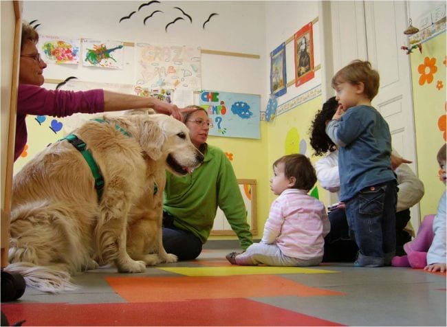 Cani nelle scuole: pet therapy contro il bullismo