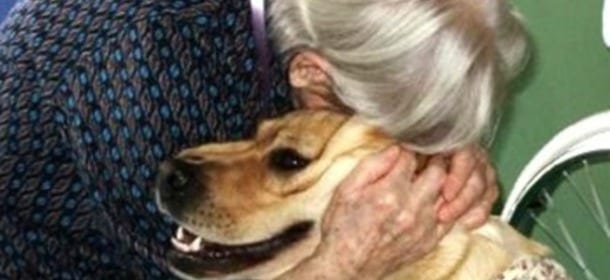 Sempre più anziani abbandonano cani anziani: una realtà che pochi conoscono