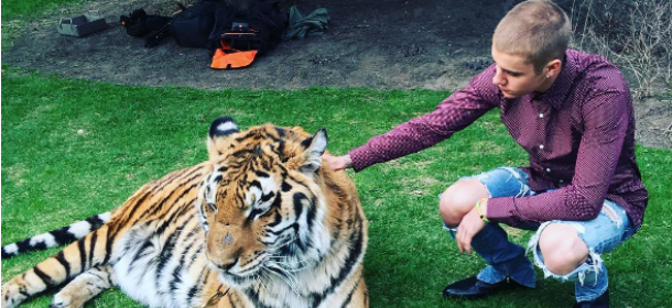 Justin Bieber in posa con una tigre: la Peta protesta e lancia un appello