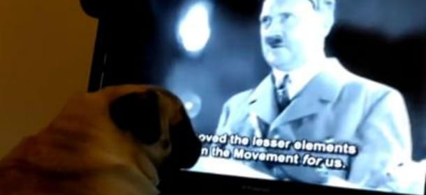 Insegna al cane il saluto nazista: youtuber arrestato [VIDEO]