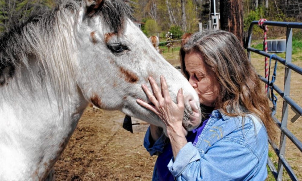 Dopo 10 anni di abusi, liberano i cavalli: la loro reazione è sorprendente