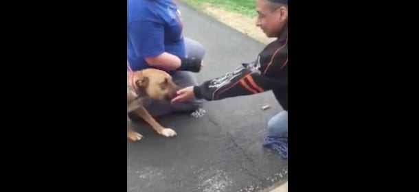 Un ex senzatetto ritrova il cane dopo 2 anni: gli era stato vicino nei momenti difficili [VIDEO]