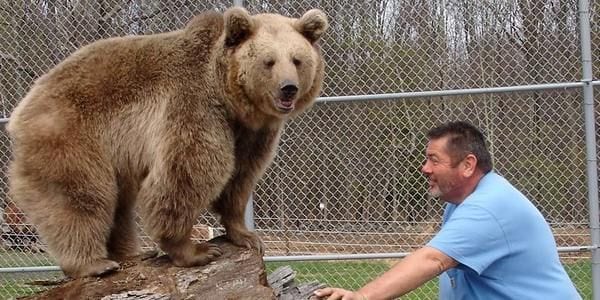 Jimbo: l'orso che crede di essee un cucciolo 