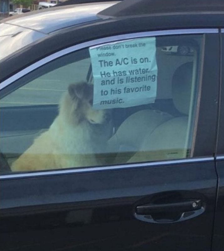 Cane lasciato in auto con un singolare biglietto