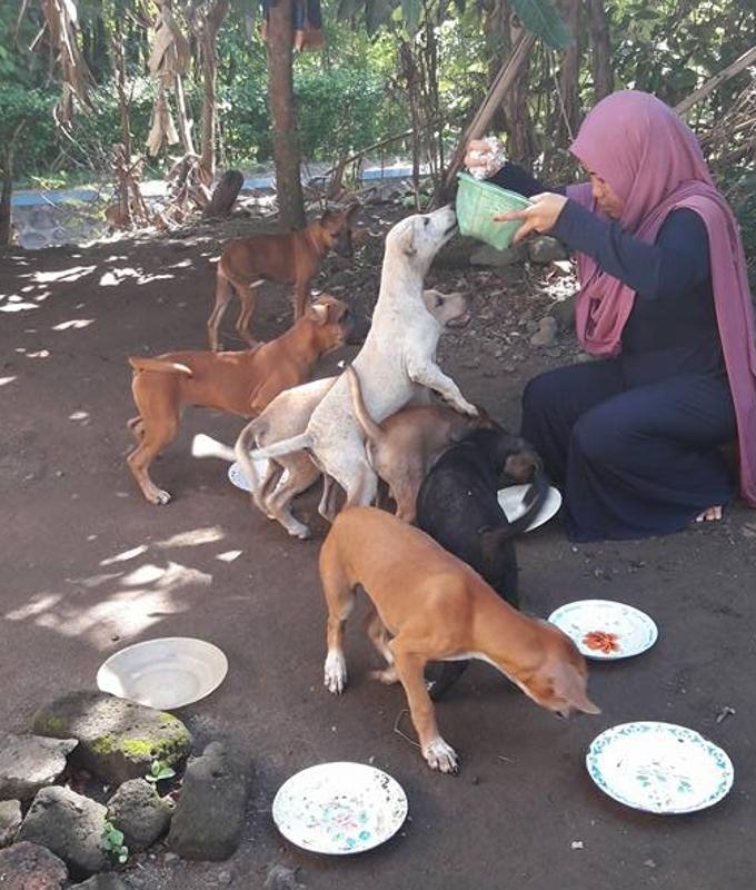Donna musulmana sfida il Corano per aiutare gli animali