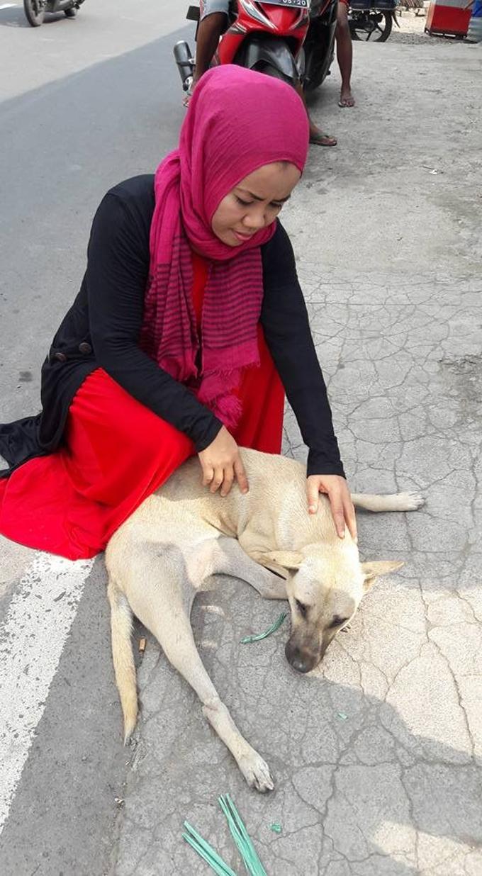 Donna musulmana sfida il Corano per aiutare gli animali