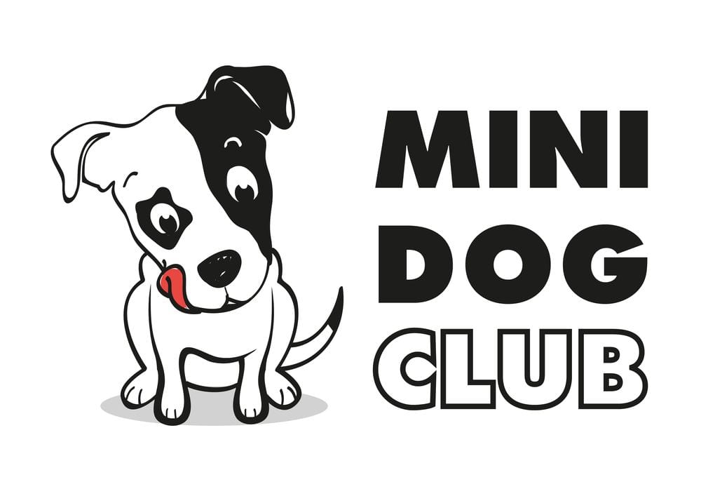 Arriva In Italia Il “Mini Dog Club” 