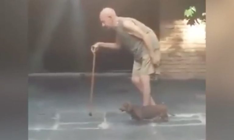 L’anziano e il Bassotto: il video dimostra perché un cane è il miglior amico dell’uomo