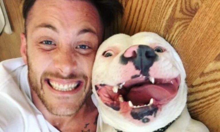 Fa un selfie col cane adottato: la polizia vuole portarglielo via [VIDEO]