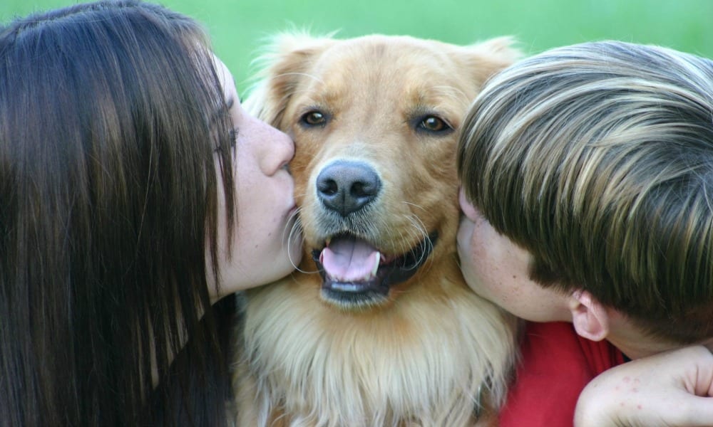 Cani e bambini provano le stesse emozioni. Lo dice la scienza