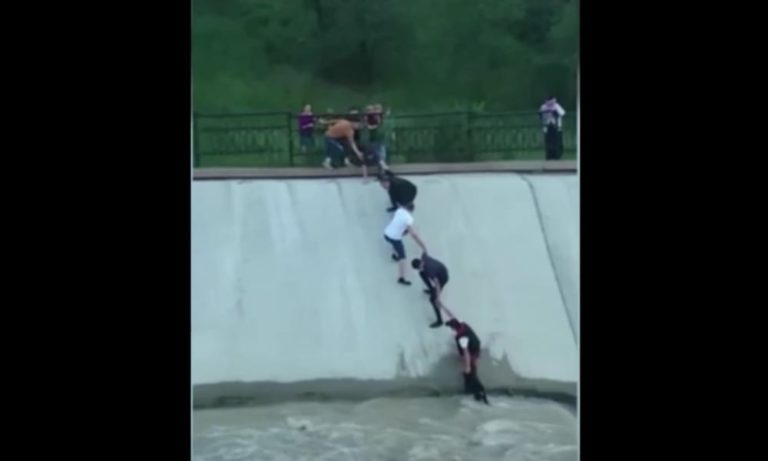 Cane cade in una diga: una catena umana lo tira fuori [VIDEO]