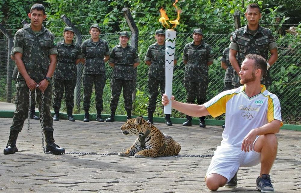 Giaguaro ucciso durante una cerimonia olimpica in Brasile