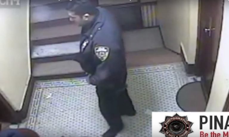 Il Pit Bull scodinzola al poliziotto, lui ha paura e gli spara [VIDEO]