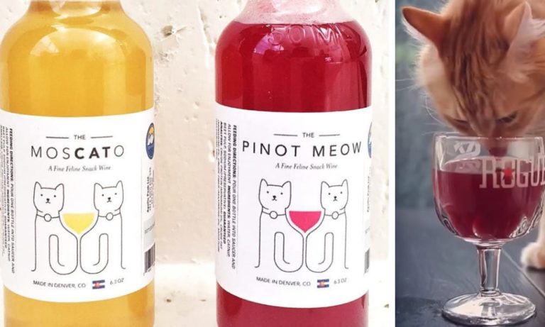 MosCATo e Pinot Meow, il vino per gatti dall’ingrediente irresistibile