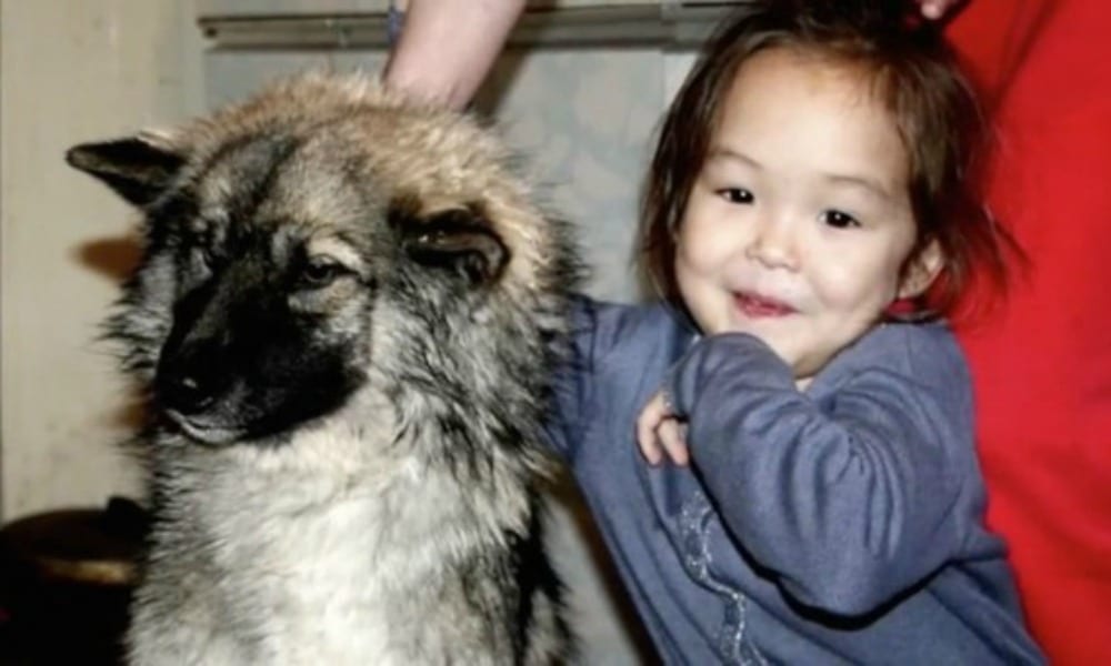 A 4 anni passa 11 giorni nella foresta siberiana: viva grazie al cane