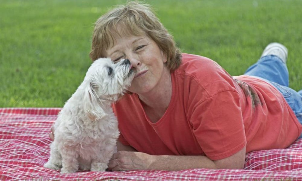 Cani e gatti, baci vietati: la loro saliva è pericolosa per l'uomo