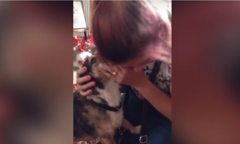 Perde il cane e lo ritrova dopo 9 anni: l’incontro è emozionante [VIDEO]