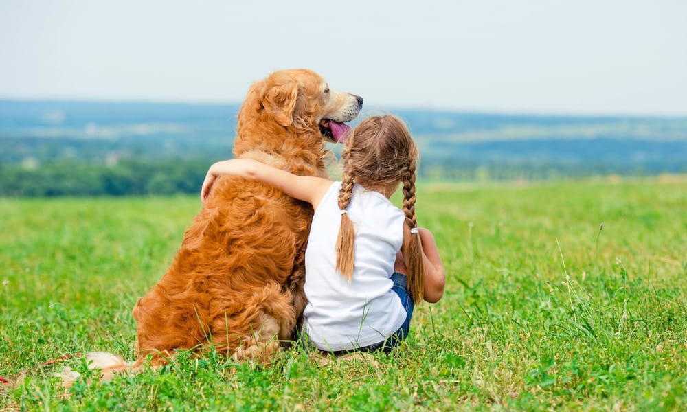 Padre stipula un "contratto per il cane" con i figli: il motivo