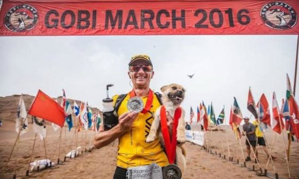 Il cane corre con lui nel deserto cinese: l'atleta vorrebbe adottarlo, ma...