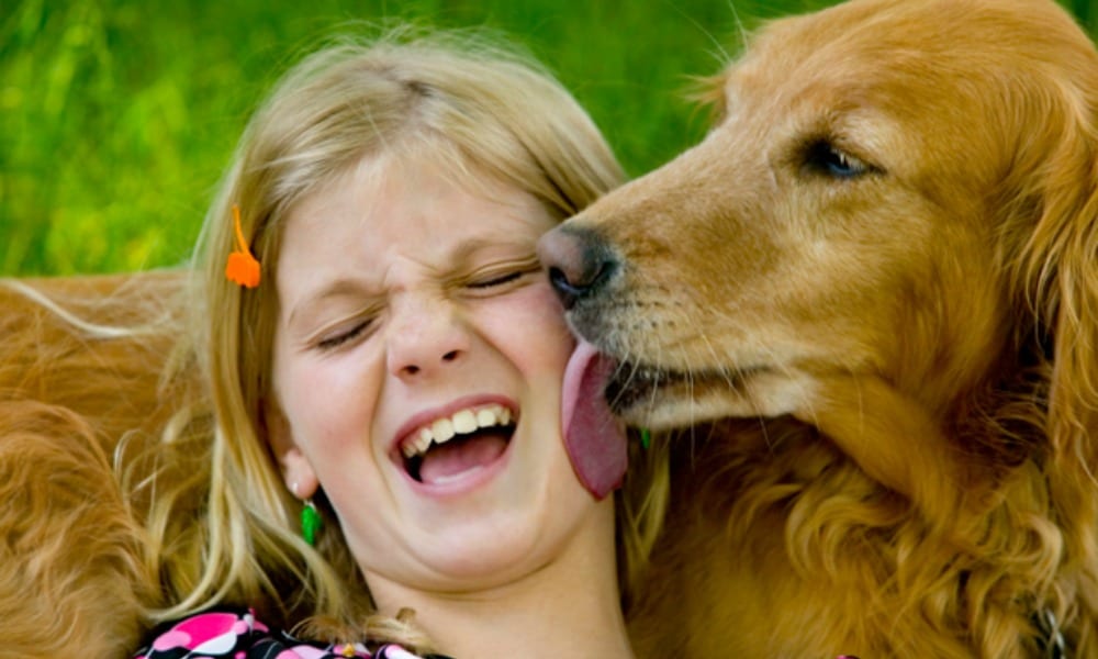 I baci dei cani fanno male o no? L'esperimento definitivo