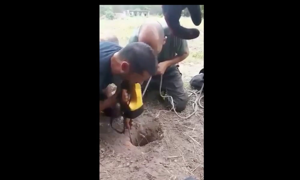 Il cucciolo è incastrato sotto terra: i vigili del fuoco entrano in azione [VIDEO]