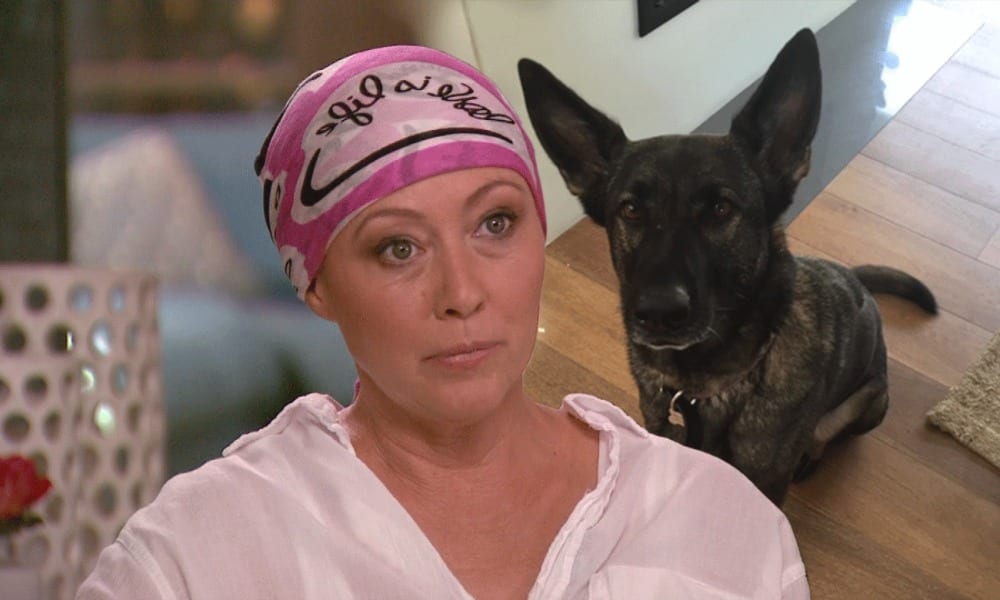 Shannen Doherty: "Il mio cane ha scoperto che avevo il cancro"