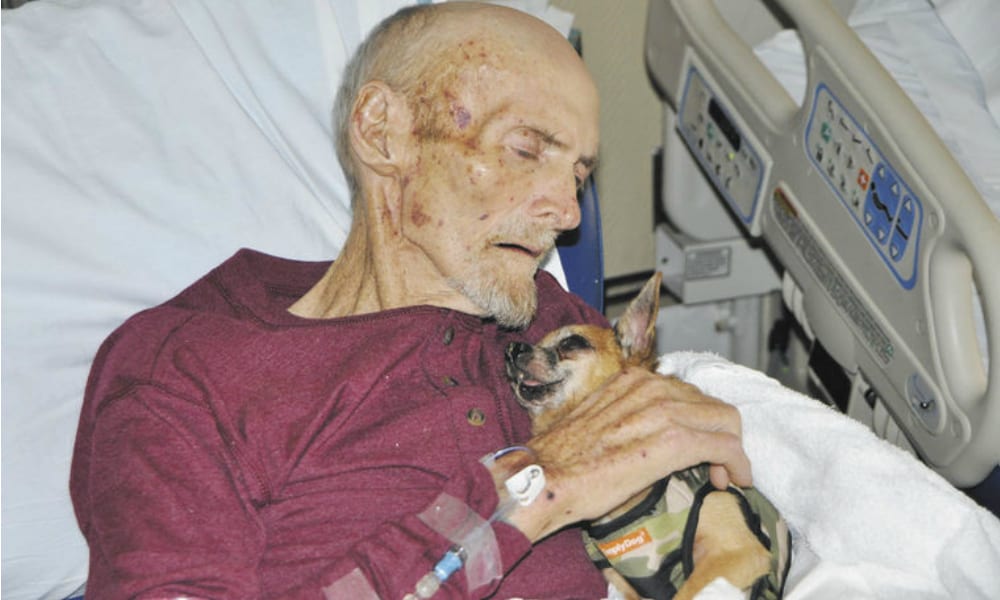 Anziano in fin di vita riabbraccia il suo cane: la reazione è sorprendente