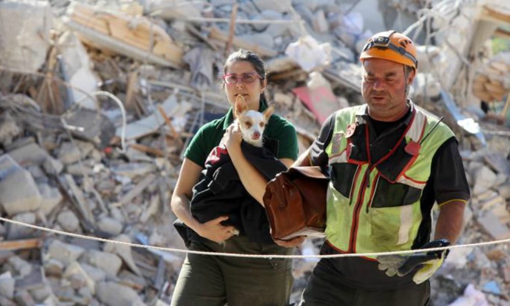 "Non è solo un cane": la volontaria risponde alle polemiche dopo il terremoto