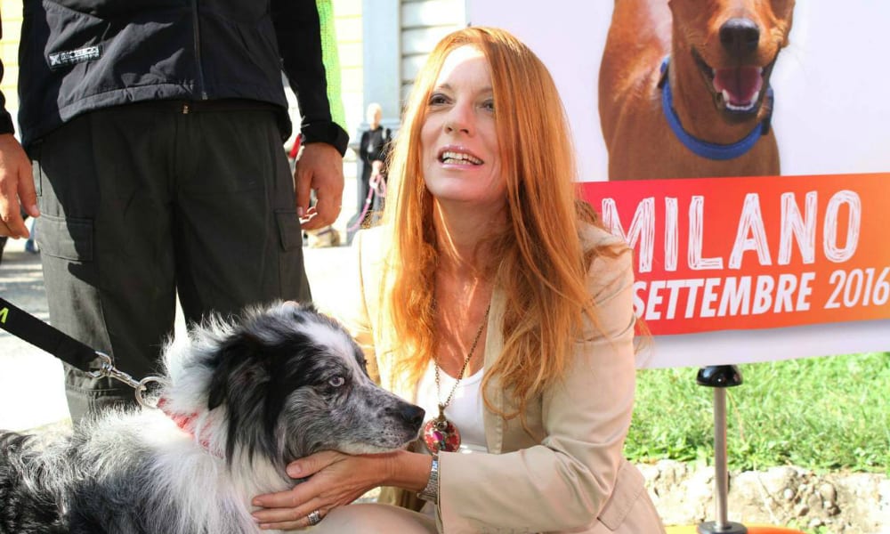 I cani-eroi del terremoto premiati al Dog Lovers Day